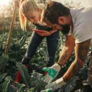 Data-Driven Solutions for Modern Farming